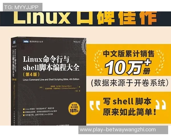 2026年3月份新闻滑板新手必看从零基础到比赛经验的全面入门指南